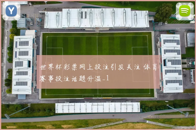 世界杯彩票网上投注引发关注 体育赛事投注话题升温_1
