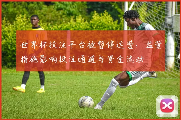 世界杯投注平台被暂停运营，监管措施影响投注通道与资金流动