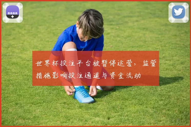 世界杯投注平台被暂停运营，监管措施影响投注通道与资金流动