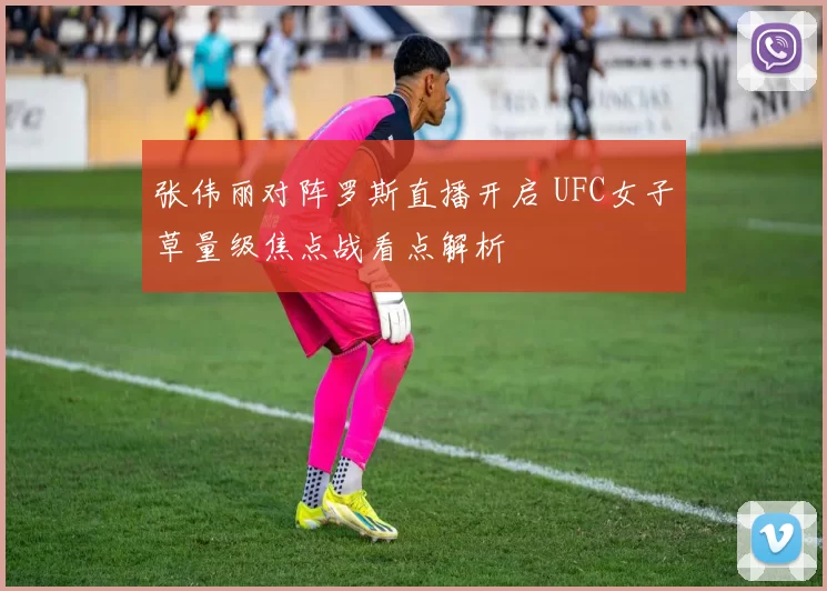 张伟丽对阵罗斯直播开启 UFC女子草量级焦点战看点解析
