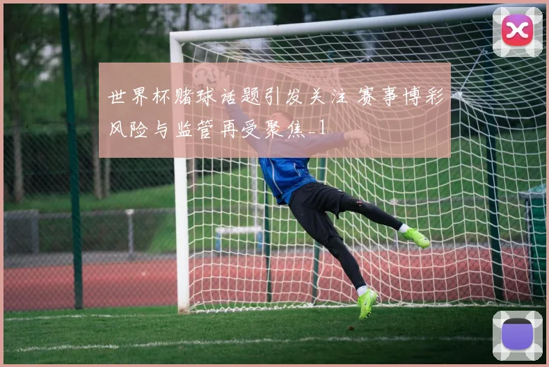 世界杯赌球话题引发关注 赛事博彩风险与监管再受聚焦_1